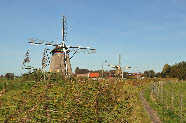 Midden Delflanbd